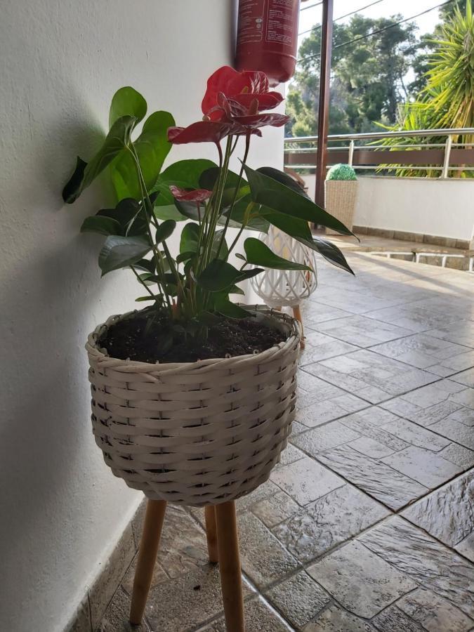 Machi Rooms Patitírion Zewnętrze zdjęcie